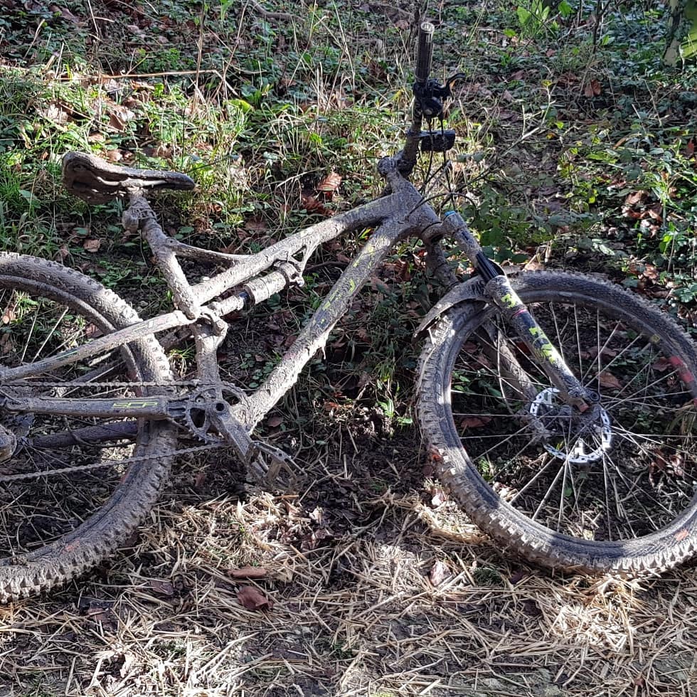 a very muddy whyte